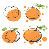 istock Oranges set pencil drawings 984922722