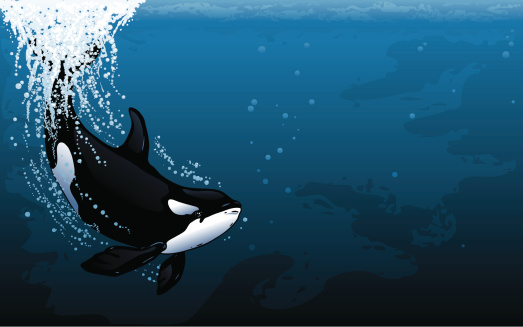 Orca Dive Widescreen