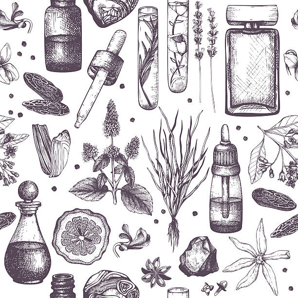 Organic and floral perfume ingredients background. Seamless pattern with hand drawn perfumery and cosmetics materials sketch. Vintage illustration factory designs stock illustrations