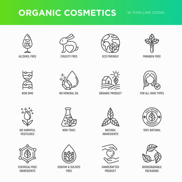 Organic cosmetics set of thin line icons for product packaging. Cruelty free, 0% alcohol, natural ingredients, paraben free, eco friendly, no mineral oil, non GMO. Modern vector illustration. vector art illustration