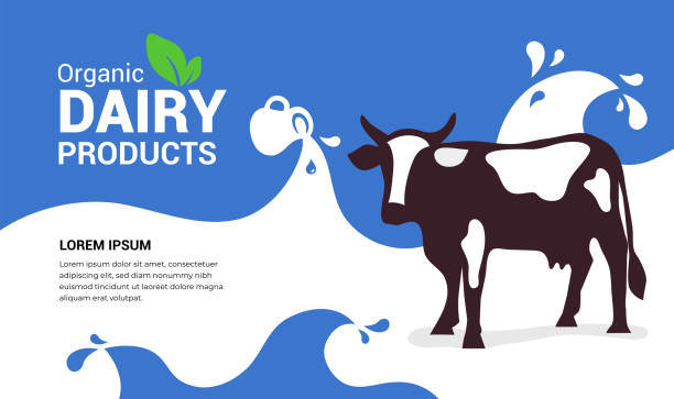 Organic dairy products illustration with cow Vector illustration of organic dairy products with cow, full jug of milky drink,milk waves with drops. Template design for farmers market, banner, booklet, prints, flyer, landing page, website, blog post dairy product stock illustrations
