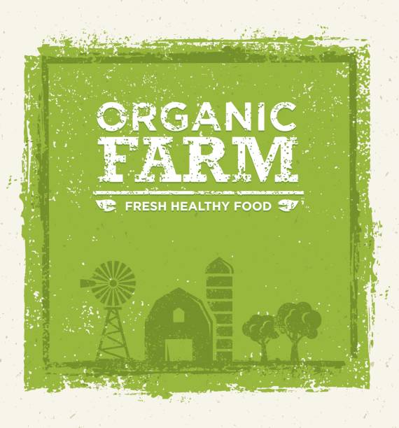 Organic Farm Fresh Healthy Food Eco Green Vector Concept on Paper Background. Organic Farm Fresh Healthy Food Eco Green Vector Concept on Paper Background food borders stock illustrations