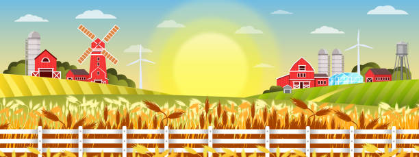 bildbanksillustrationer, clip art samt tecknat material och ikoner med ekologiskt gårdslandskap med vetefält, byhus, väderkvarn, ladugård, staket. - wind turbine sunset