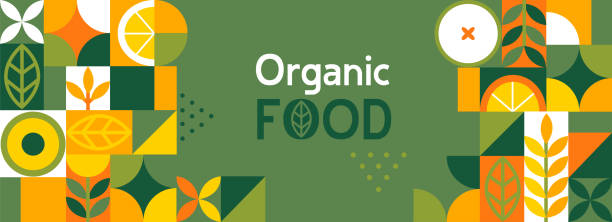 Organic food banner in flat style. Organic food banner in flat style. Fruits and cereals geometry minimalistic with simple shape and figure.Great for flyer, web poster, natural products presentation templates, cover design. Vector . food backgrounds stock illustrations