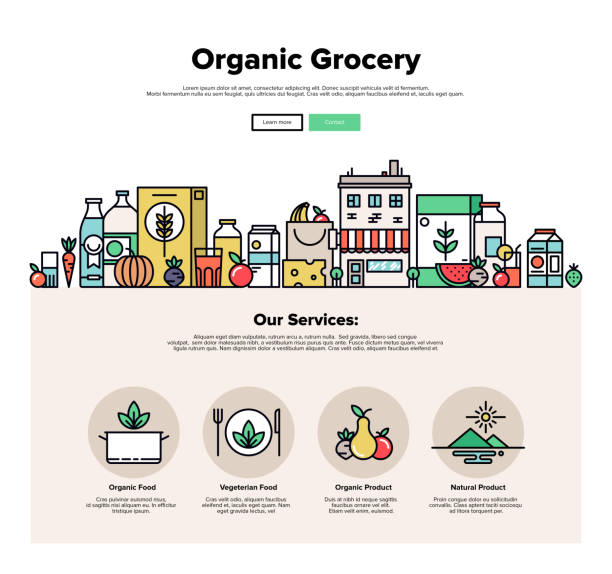 ilustrações de stock, clip art, desenhos animados e ícones de organic grocery flat line web graphics - natural food infographics