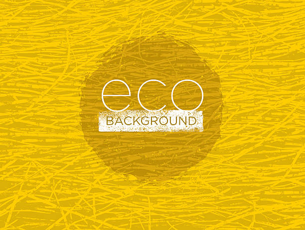 Organic Hay Nature Texture Eco Background Creative Vector Eco Green Design Concept. Organic Bio Concept On Natural Background hay stock illustrations