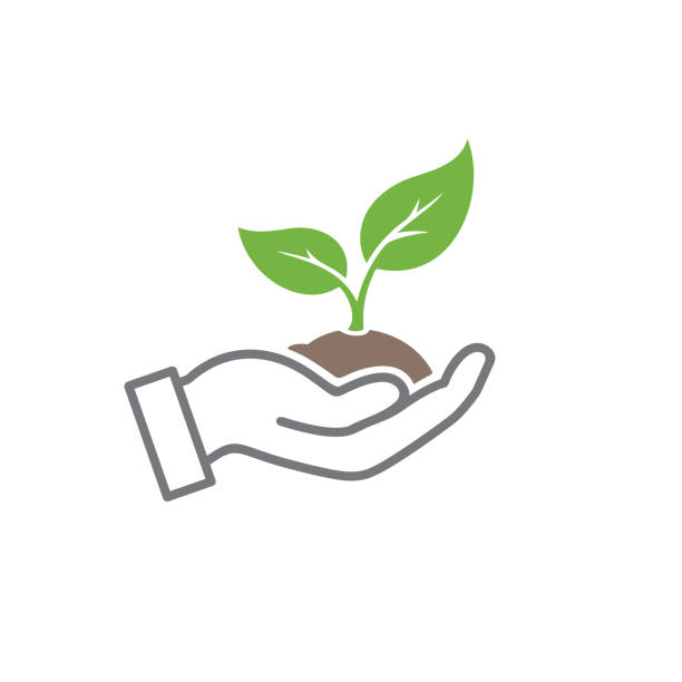 organic icon green sprout in hand outline icon seedling stock illustrations