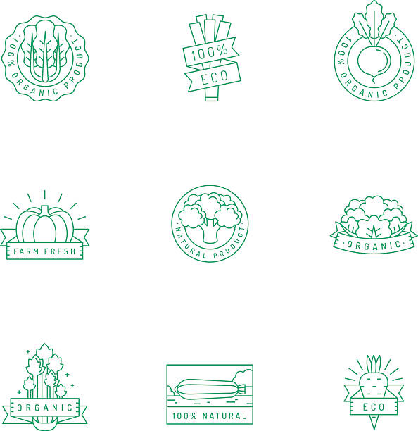 bildbanksillustrationer, clip art samt tecknat material och ikoner med organic, natural food green vegetable sticker (logo) vector set. - squash sun