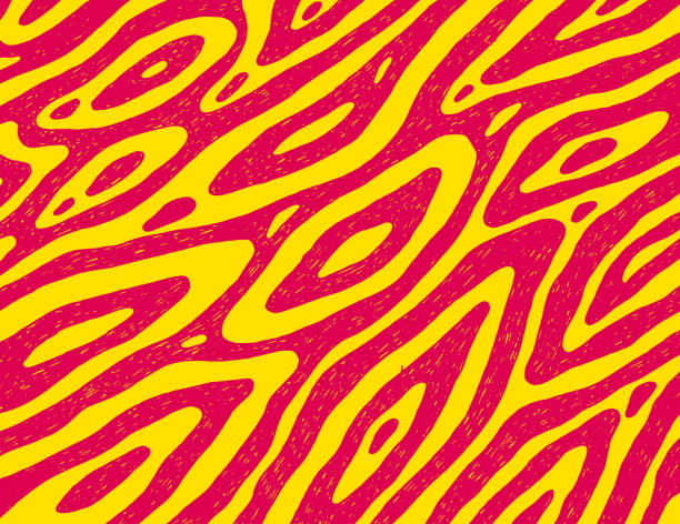 органический узор для дизайна фона. красочные полосы зебры и волны. яркий дизайн плаката. нарисованная вручную текстура. векторное произве� - странный stock illustrations