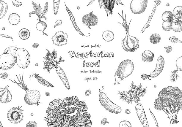Organic vegetables food banners. Healthy food. Engraving sketch vintage style. Vegetarian food for design menu, recipes, decoration kitchen items. Great for label, poster, packaging design. Organic vegetables food banners. Healthy food. Engraving sketch vintage style. Vegetarian food for design menu, recipes, decoration kitchen items. Great for label, poster, packaging design supermarket borders stock illustrations