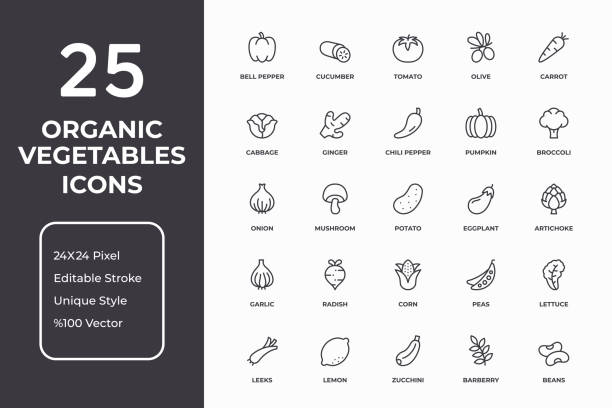 Organic Vegetables Thin Line Icon Set vector art illustration