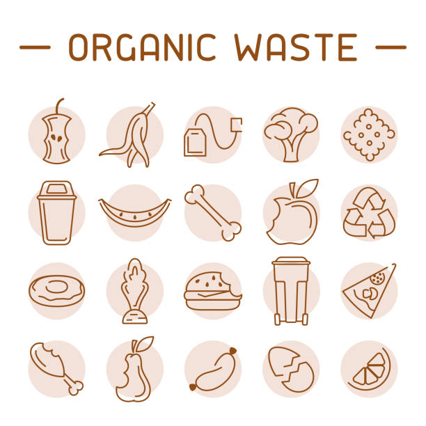 illustrations, cliparts, dessins animés et icônes de ensemble d’icônes des déchets organiques - compost