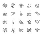 Organs, anatomy flat line icons set. Human bones, stomach, brain, heart, bladder, nervous system vector illustrations. Outline pictograms for medical clinic. Pixel perfect 64x64. Editable Strokes.
