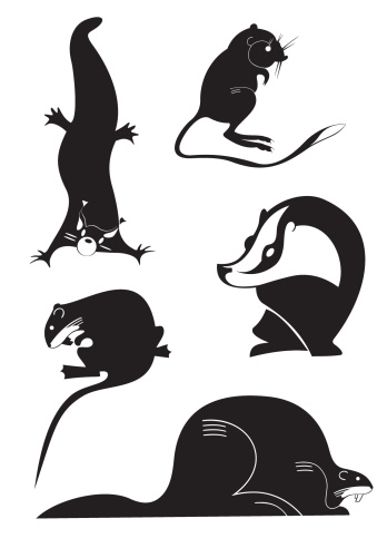 Original animal silhouettes in black on white background