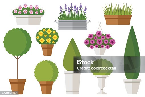 istock Outdoor potted plants 651850146