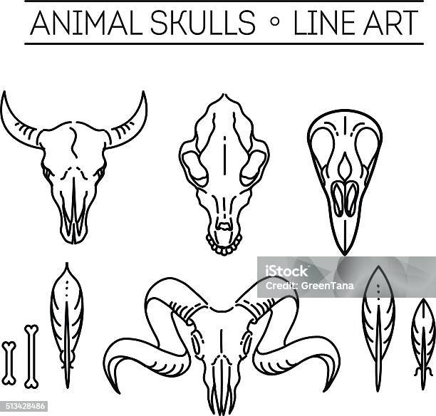 Animal Skull Vector Art Graphics Freevector Com