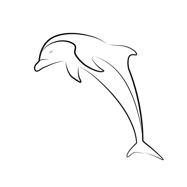 dolphin. line art. the object is separate from the background. - cartoon of...