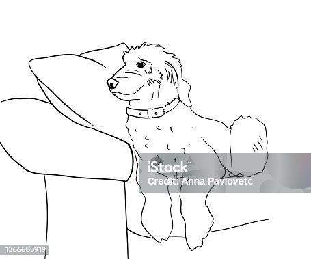 istock Outline ink drawing dog sitting on a sofa. Cute doggie lies on a sofa. Vector realistic illustration 1366685919