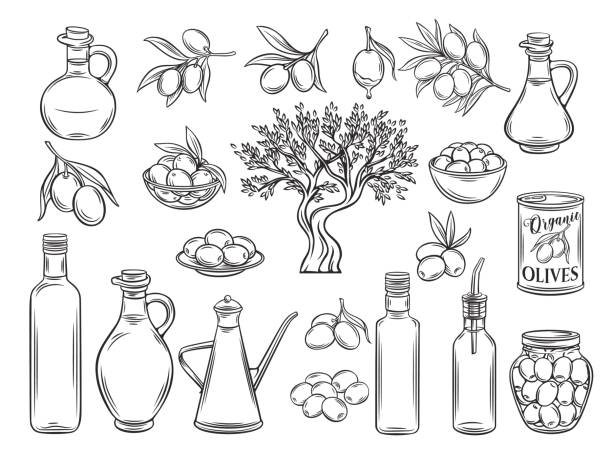 illustrations, cliparts, dessins animés et icônes de décrivez l’huile d’olive et les olives - hand draw jar