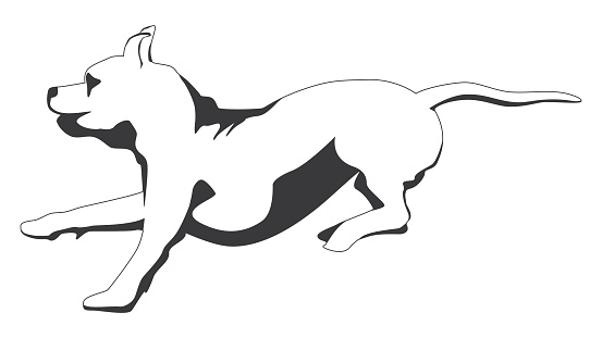 Outline running brindle Staffordshire terrier or pitbull isolated on white. Vector illustration.