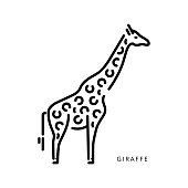 Outline vector logo drawing giraffe walking symbol. Line art illustration for coloring book giraffe. Isolated line drawing of African animal giraffe