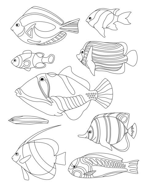 Outlined coral fishes horizontal coloring page. Tropical fish coloring card. vector art illustration