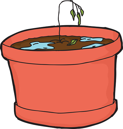 Isolated cartoon over-watered houseplant with wilted seedling vector