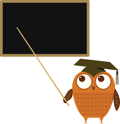 Owl and blackboard illustration