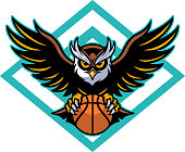 istock Owl basketball 1091740816