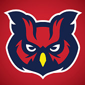 istock Owl head mascot 862160266