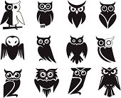 Set of 12 owl icons in black