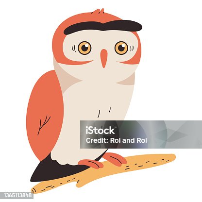 istock Owl on branch vector cartoon bird illustration isolated on a white background. 1365113848