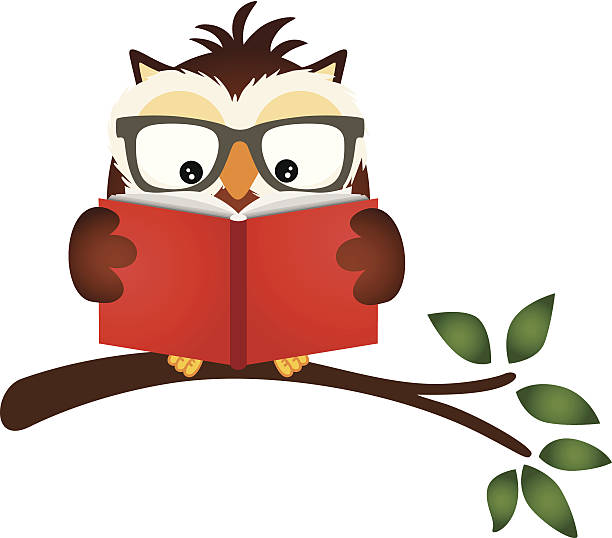 Owl reading a book on tree branch Scalable vectorial image representing a owl reading a book on tree branch, isolated on white. EPS10. forest clipart stock illustrations