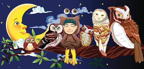 Owl Story