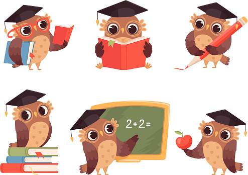 Owl teacher. Cartoon bird characters with back to school items cute mascots reading pointing vector illustrations
