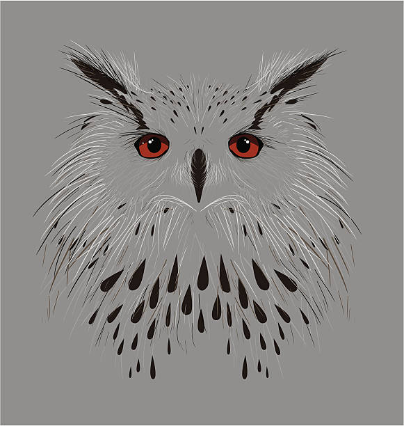 Best Black And White Owl Illustrations, Royalty-Free ...
