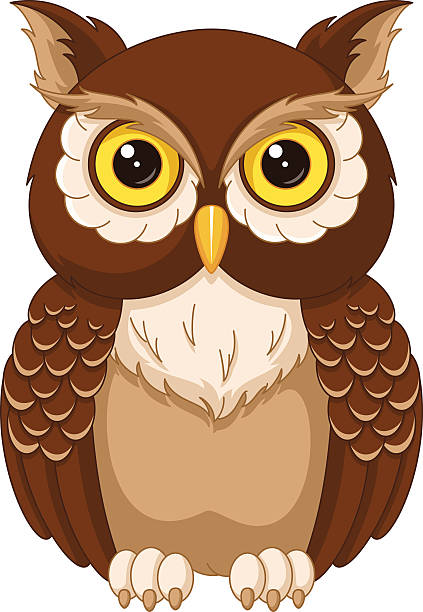 Best White Owl Illustrations, Royalty-Free Vector Graphics ...