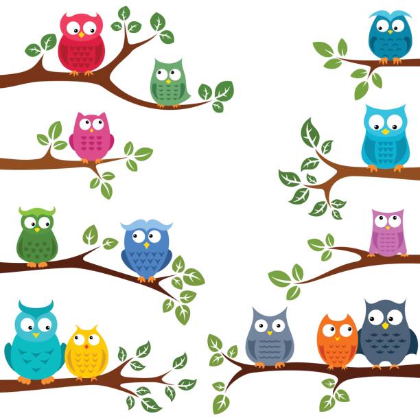 Owls in love Couples of owls sitting on branches romance book cover stock illustrations