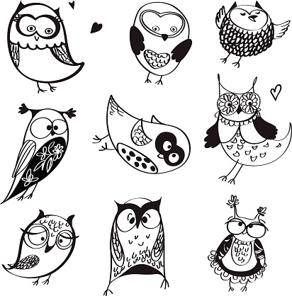 Owls line drawings