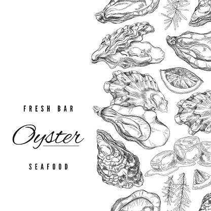 Oyster food banner with hand drawn seashell, lemon slice, ice cubes and rosemary - sketch vector illustration.