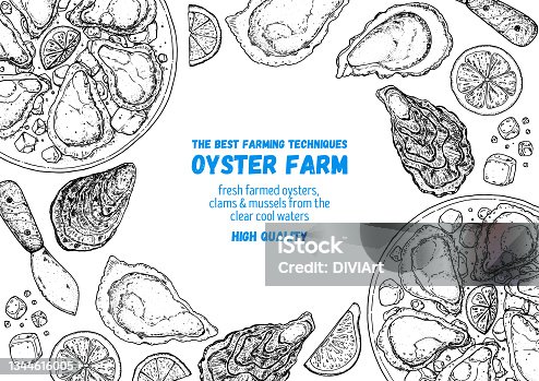 istock Oysters and oysters dish with lemon and ice sketch. Hand drawn vector illustration. Top view. Design template. Food menu. 1344616005