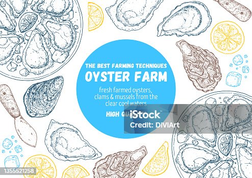 istock Oysters and oysters dish with lemon and ice sketch. Hand drawn vector illustration. Top view. Design template. Food menu. 1355521258