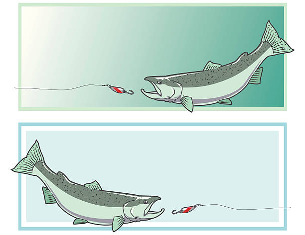 Pacific Salmon Banner/Sign vector art illustration
