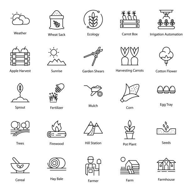 Pack Of Agriculture Line Icons We bring you this amazing farm and agriculture icons pack. Agriculture vectors are creatively designed in line style. Download this icons set for biomass, biodiversity and other related projects. mulch stock illustrations