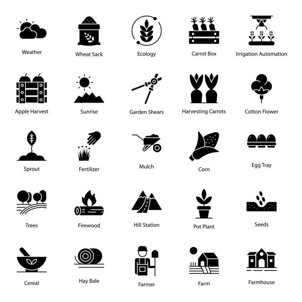 Pack Of Agriculture Solid Icons We bring you this amazing farm and agriculture icons pack. Agriculture vectors are creatively designed in line style. Download this icons set for biomass, biodiversity and other related projects. mulch stock illustrations