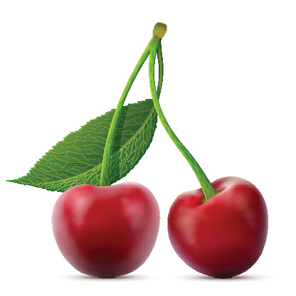 Pair of cherries fruits close up