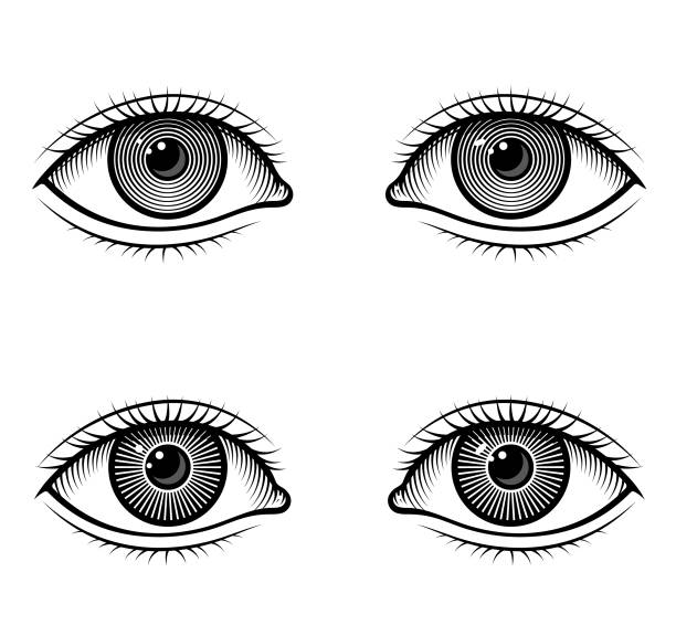 A pair of eyes illustration Two pairs of woodcut style eyes, differing in the treatment of the pupil. eye drawings stock illustrations