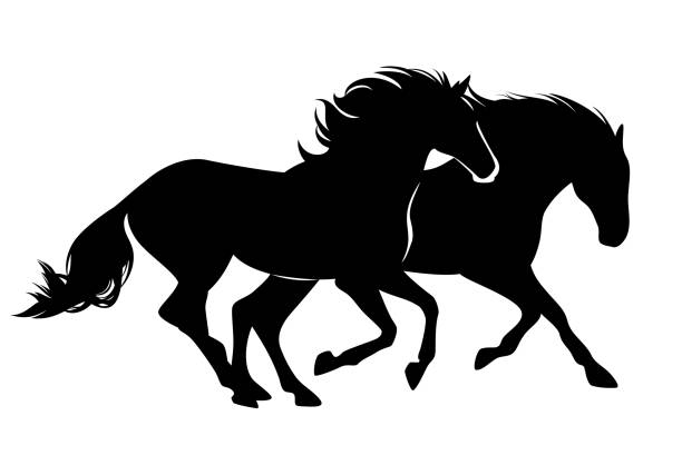 pair of horses black vector silhouette pair of wild mustang horses running free - black vector silhouette design animals in the wild stock illustrations