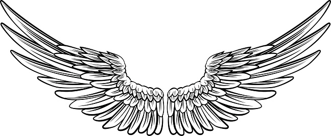 Pair of Spread Wings