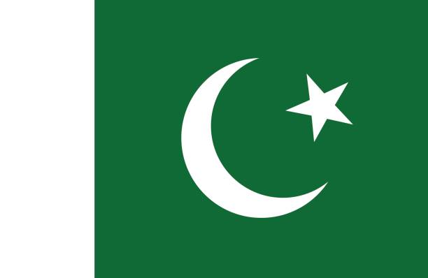 Pakistan Vector of nice Pakistani flag. pakistani flag stock illustrations